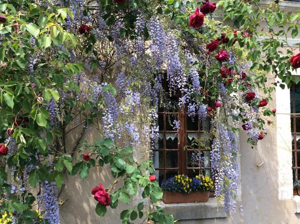 مبيت وإفطار Villiers-sur-Loir Cote Jardin المظهر الخارجي الصورة